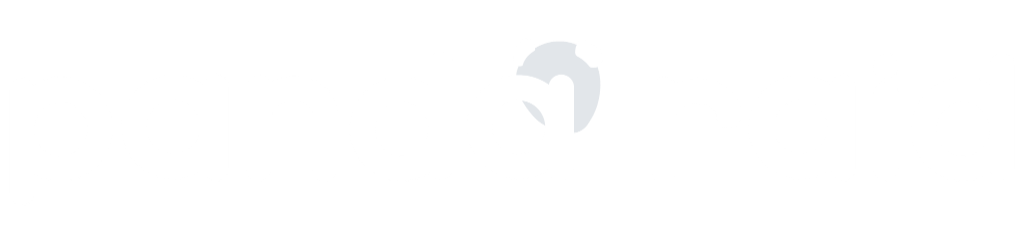 Panda Raid